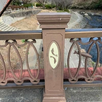 画像259